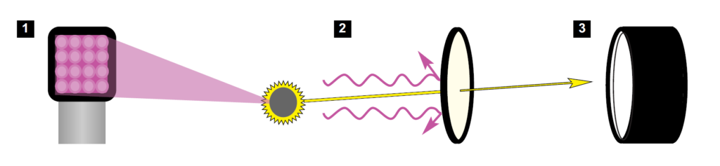 UV Fluorescence Fingerprint Imaging