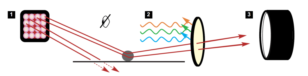 IR Reflection and Absorption Fingerprint Imaging